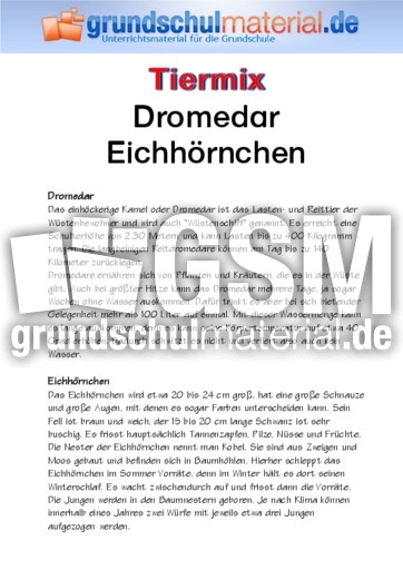 Dromedar - Eichhörnchen.pdf